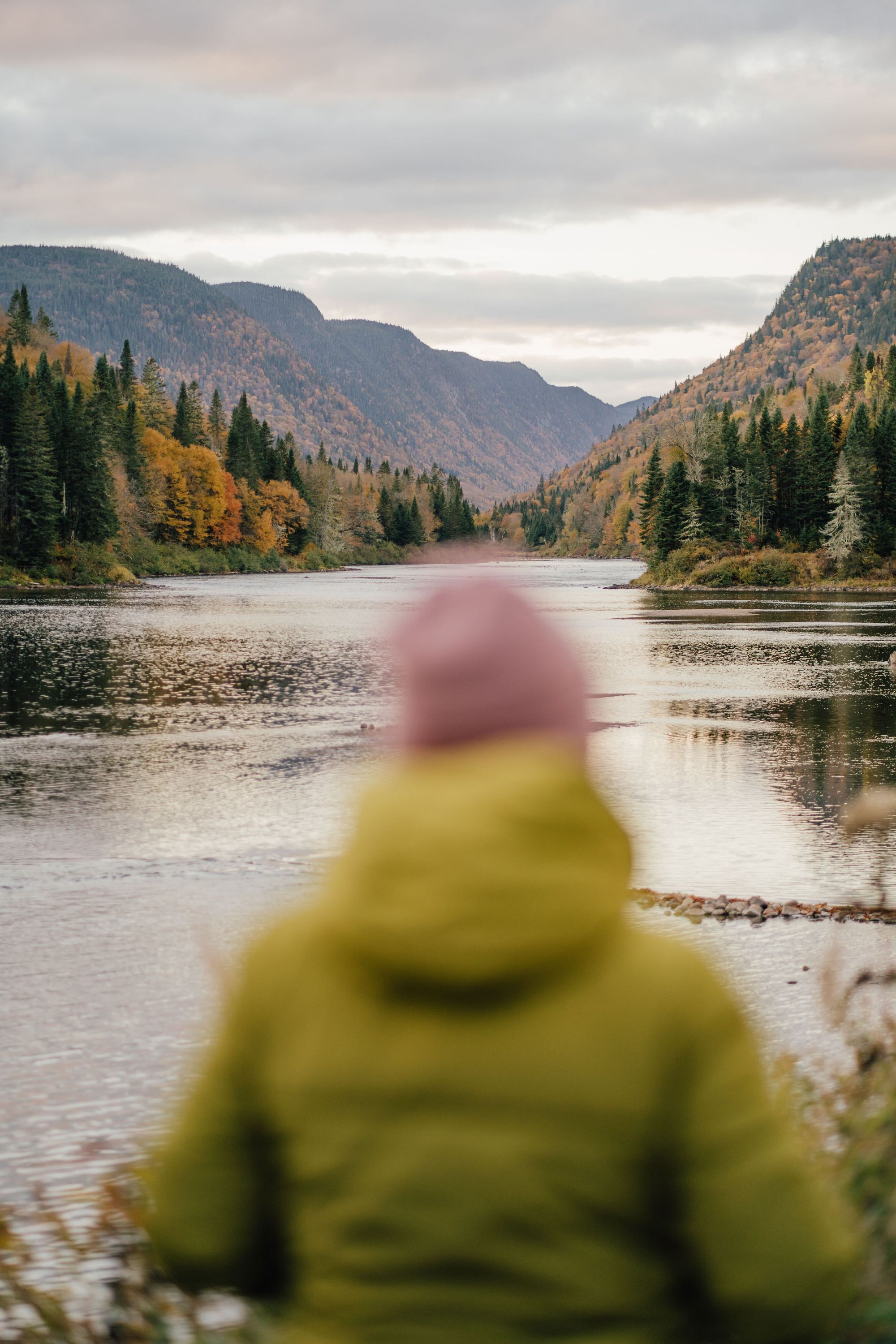 Observation du territoire — rivière et vallée boréale